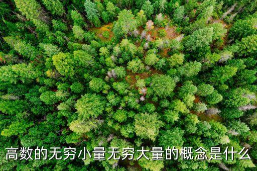 高數(shù)的無窮小量無窮大量的概念是什么