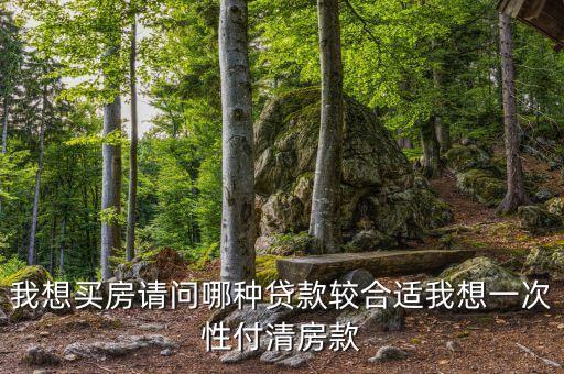 我想買房請問哪種貸款較合適我想一次性付清房款