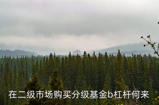 在二級(jí)市場(chǎng)購(gòu)買(mǎi)分級(jí)基金b杠桿何來(lái)