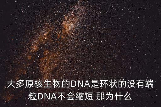 大多原核生物的DNA是環(huán)狀的沒有端粒DNA不會縮短 那為什么