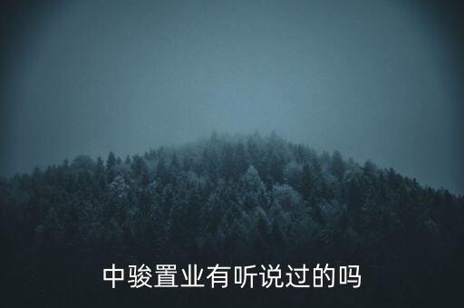 德勝門中駿置業(yè)建什么，中駿置業(yè)控股有限公司是國企嗎