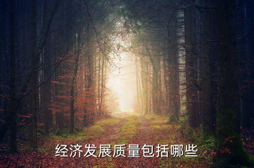 經(jīng)濟發(fā)展質(zhì)量包括哪些