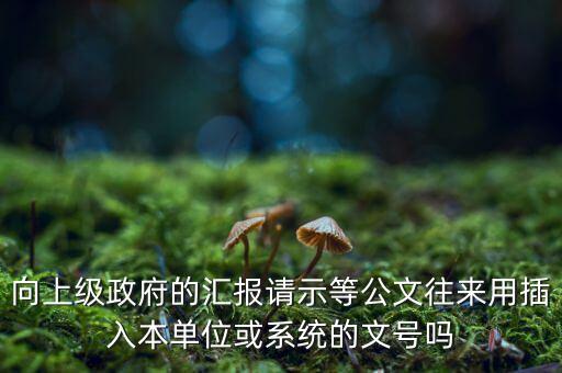 向上級(jí)政府的匯報(bào)請(qǐng)示等公文往來(lái)用插入本單位或系統(tǒng)的文號(hào)嗎