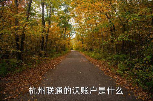 杭州聯(lián)通的沃賬戶是什么