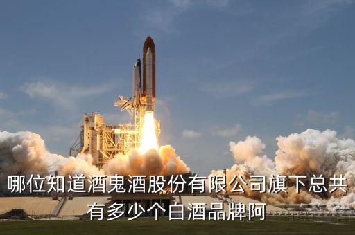 哪位知道酒鬼酒股份有限公司旗下總共有多少個白酒品牌阿