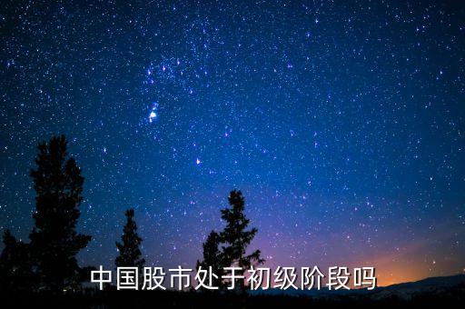 中國股市處于初級(jí)階段嗎