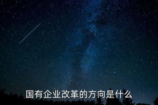 國企改革的主攻方向是發(fā)展什么制，國企改革的主攻方向是發(fā)展什么制
