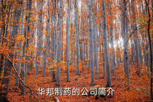 華邦制藥有什么產(chǎn)品，華邦制藥的企業(yè)理念