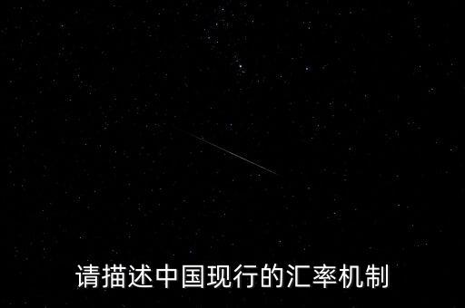 什么是單一浮動匯率，單一浮動匯率制單一固定匯率制解釋