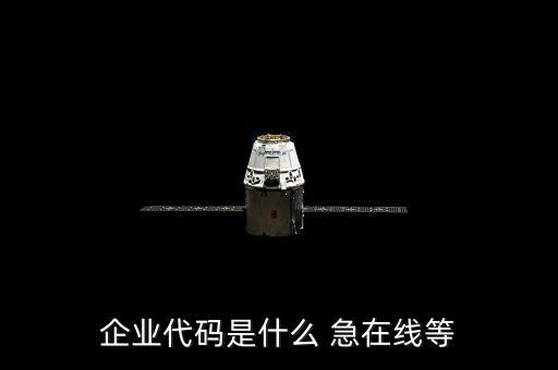 集團(tuán)彩云的企業(yè)代碼是什么，企業(yè)識別碼是什么