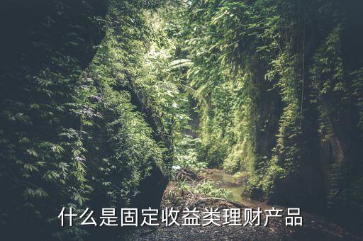 固收理財是什么，天天基金網(wǎng)里的固收理財是什么意思