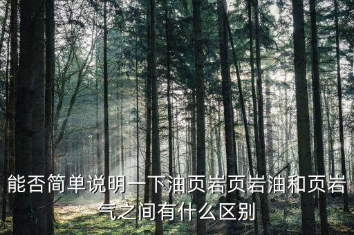 能否簡(jiǎn)單說明一下油頁(yè)巖頁(yè)巖油和頁(yè)巖氣之間有什么區(qū)別