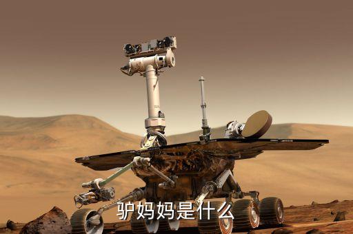驢媽媽是什么模式，驢媽媽是什么