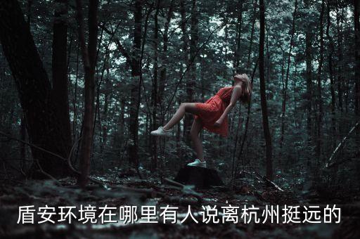 盾安環(huán)境是做什么，盾安環(huán)境工作怎么樣