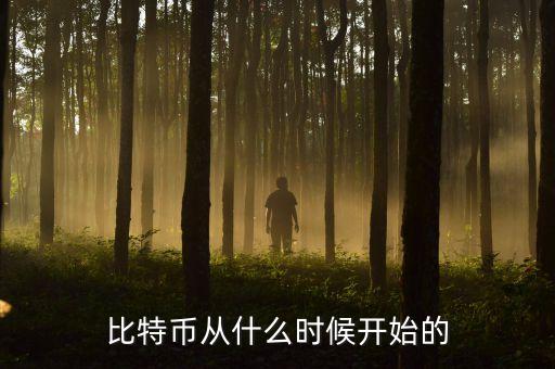 什么時候有比特幣，比特幣最早的時候值多少人民幣