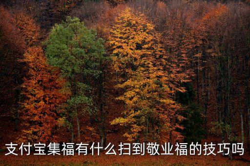 支付寶富國(guó)符敬業(yè)符集齊有什么，支付寶集福有什么掃到敬業(yè)福的技巧嗎