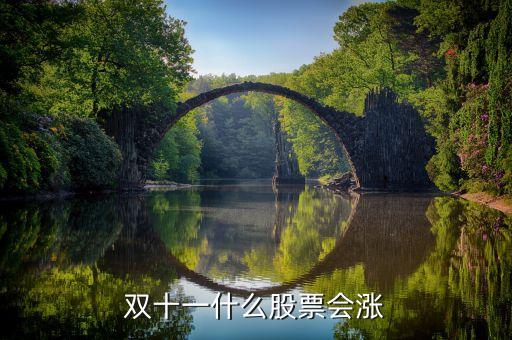 雙十一什么股票會漲