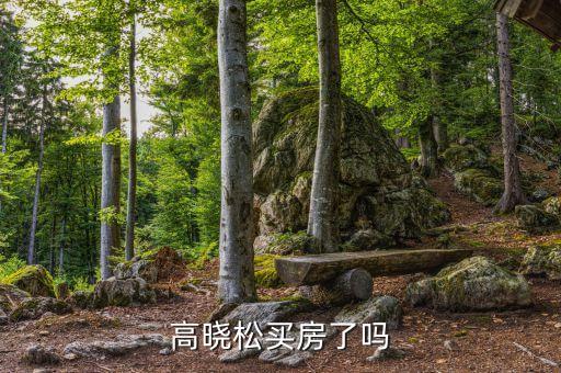 高曉松為什么不買房，高曉松買房了嗎