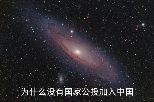中國人為什么不公投，為什么沒有國家公投加入中國