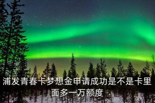 浦發(fā)青春卡夢想金是什么，浦發(fā)青春卡61到手申請請了夢想金轉(zhuǎn)固定額度不行已查夢想金有一