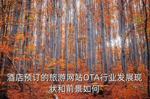 酒店預訂的旅游網(wǎng)站OTA行業(yè)發(fā)展現(xiàn)狀和前景如何