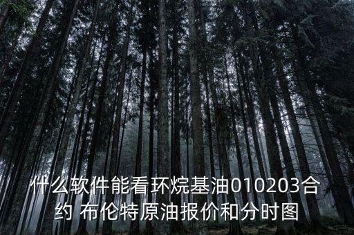 布倫特原油價(jià)格在什么地方查，什么軟件能看環(huán)烷基油010203合約 布倫特原油報(bào)價(jià)和分時(shí)圖