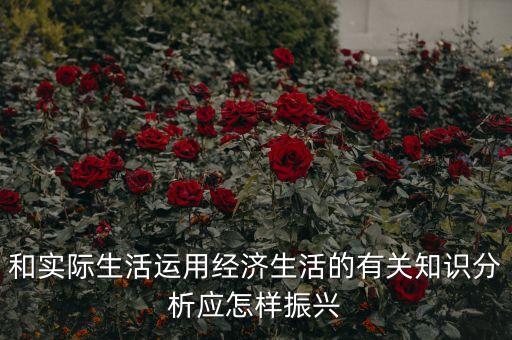 和實(shí)際生活運(yùn)用經(jīng)濟(jì)生活的有關(guān)知識(shí)分析應(yīng)怎樣振興
