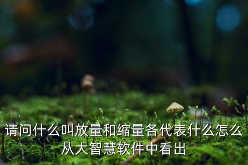 什么是放量和縮量圖片，請(qǐng)問什么叫放量和縮量各代表什么怎么從大智慧軟件中看出