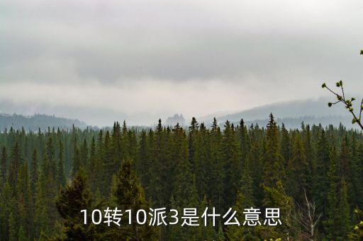 10轉(zhuǎn)10派3是什么意思