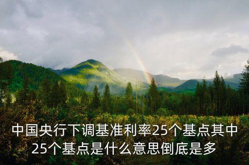 中國央行下調(diào)基準(zhǔn)利率25個基點其中25個基點是什么意思倒底是多