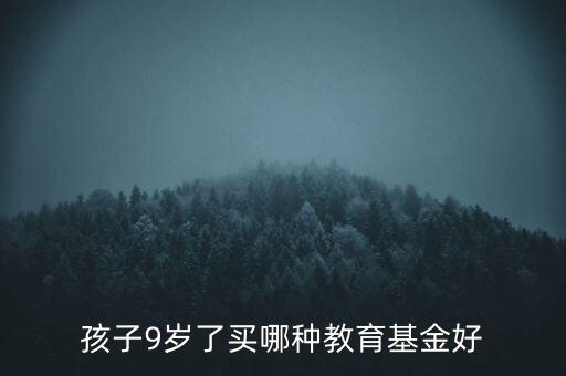 給寶寶買什么基金好，我孩子還不到兩歲給她買什么教育基金好