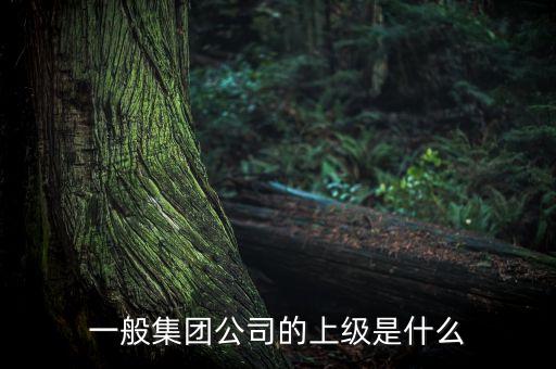 一般集團公司的上級是什么