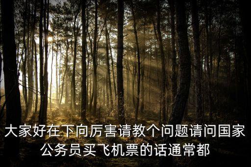 什么領(lǐng)導(dǎo)飛機票政府買，怎樣在政府機票采購網(wǎng)買機票