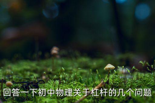 回答一下初中物理關(guān)于杠桿的幾個問題