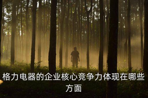 格力電器的企業(yè)核心競爭力體現(xiàn)在哪些方面