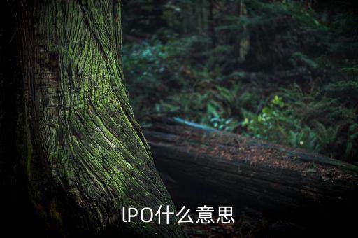 lpo重啟是什么意思，lPO什么意思
