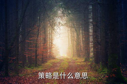 策略家是什么意思，策略是什么意思