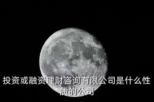 投資或融資理財(cái)咨詢(xún)有限公司是什么性質(zhì)的公司