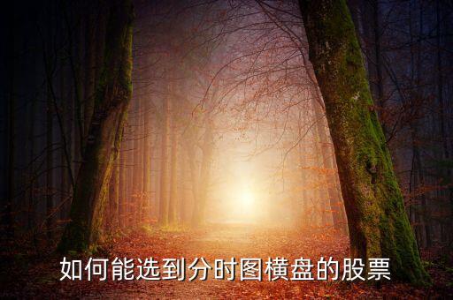 股票分時(shí)圖橫盤(pán)代表什么，分時(shí)圖橫盤(pán)什么意思是不是往往收盤(pán)時(shí)會(huì)大漲