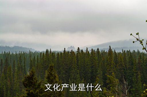 中投文化產(chǎn)業(yè)是什么，什么是文化產(chǎn)業(yè)