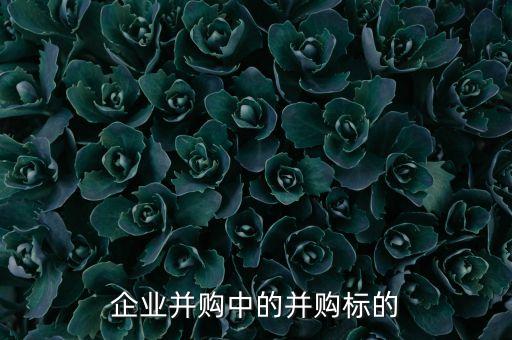 企業(yè)并購中的并購標的