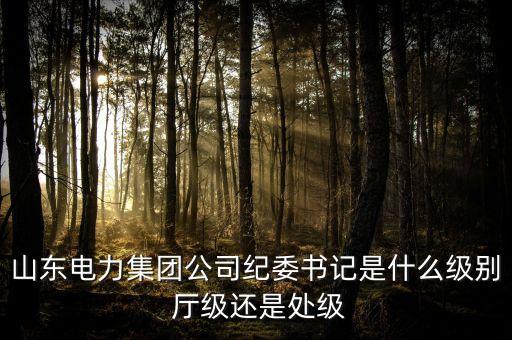 央企的紀(jì)委書(shū)記什么級(jí)別，副部級(jí)國(guó)有企業(yè)紀(jì)檢監(jiān)察主任是什么級(jí)別