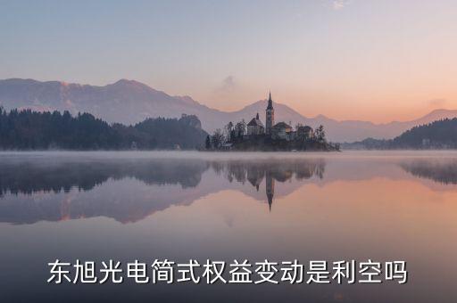 東旭光電簡式權益變動是利空嗎