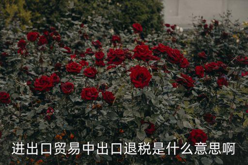 押匯退回什么意思，進(jìn)出口貿(mào)易中出口退稅是什么意思啊