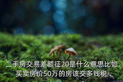 什么房子需要繳納差價20的稅，二手房交易差額征20是什么意思比如買賣房價50萬的房該交多錢稅