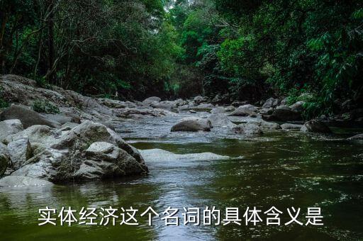 什么是經(jīng)濟(jì)實(shí)體，實(shí)體經(jīng)濟(jì)這個(gè)名詞的具體含義是