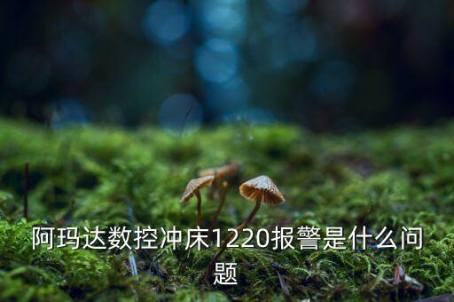 阿瑪達數(shù)控沖床1220報警是什么問題