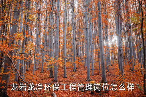 龍巖龍凈環(huán)保屬于什么單位，福建龍凈脫硫脫硝工程有限公司怎么樣啊待遇好不好做工程項目管