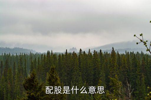 上海梅林配股是什么意思，配股是什么意思啊