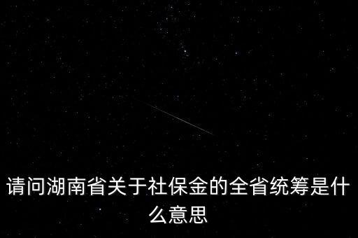 社保統(tǒng)籌金是什么意思，請(qǐng)問(wèn)湖南省關(guān)于社保金的全省統(tǒng)籌是什么意思
